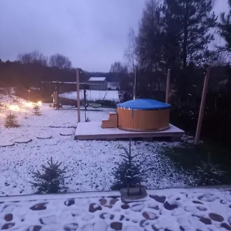Liski *